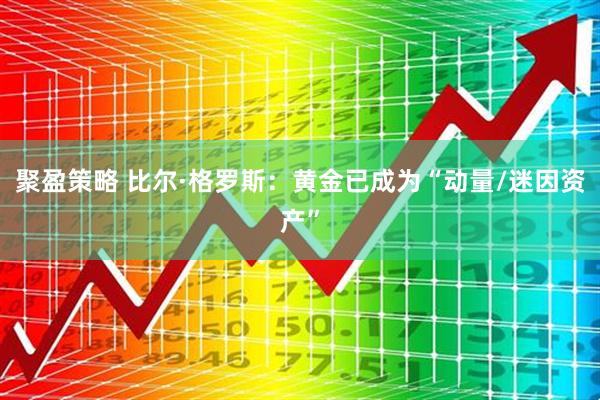 聚盈策略 比尔·格罗斯：黄金已成为“动量/迷因资产”
