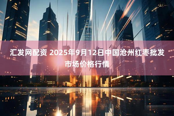 汇发网配资 2025年9月12日中国沧州红枣批发市场价格行情